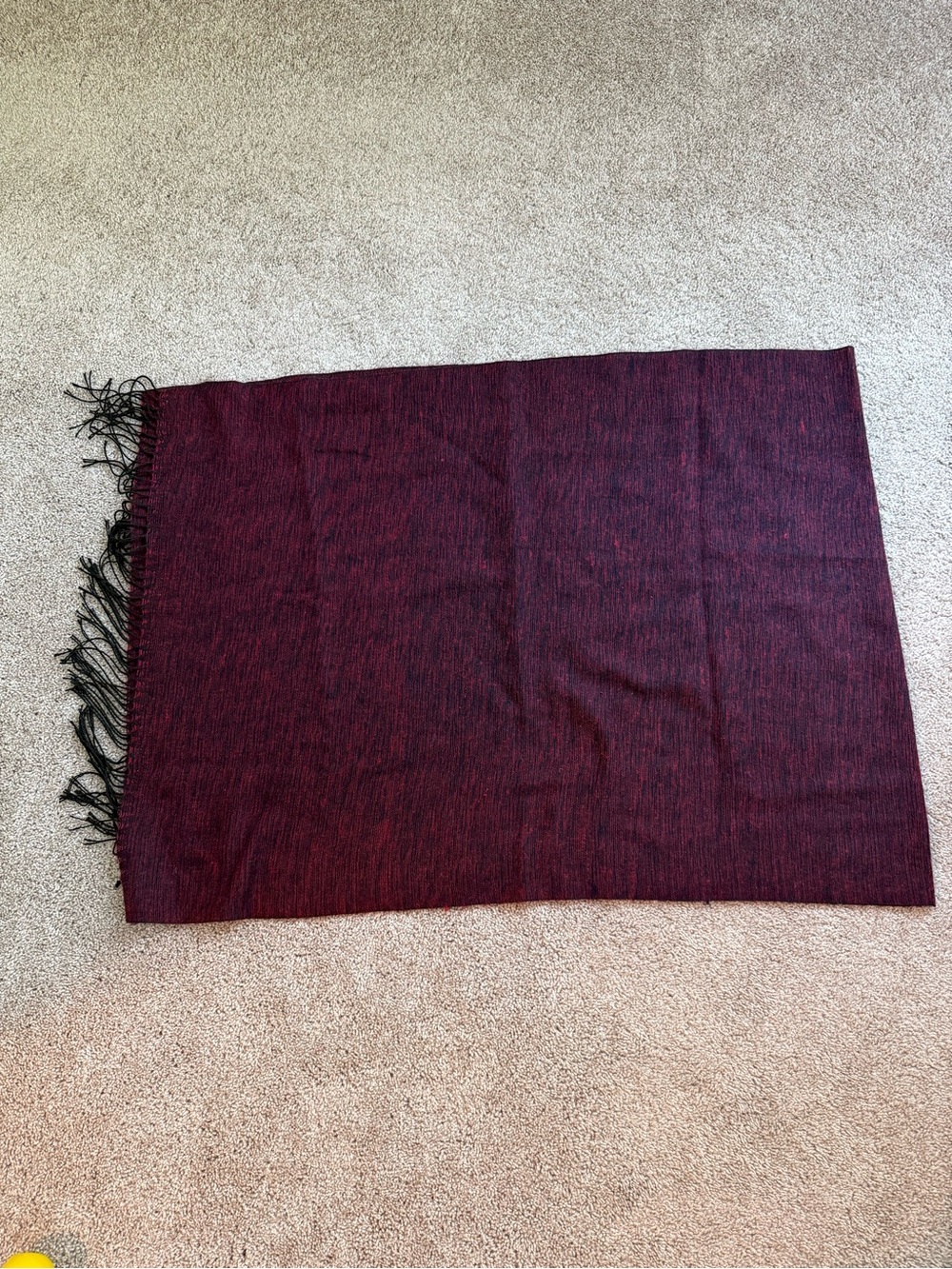 Francesca's Collections Burgundy and Black Fringe Wrap Scarf